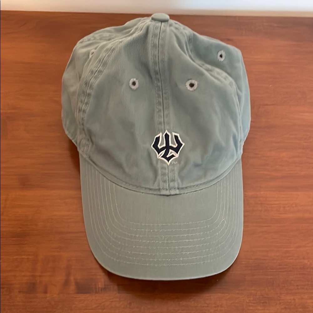 Washington and Lee University Baseball olive green Hat with Curved Brim